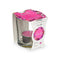 Geurkaars Tealight Orchidee (12 Stuks)