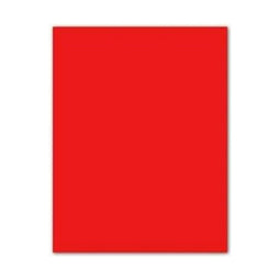 Fiches Iris Rood 50 x 65 cm