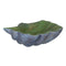 Middenstuk Schelp Groen Grijs 35 x 28 x 12 cm