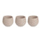 Pottenset Taupe Plastic 12 x 12 x 11 cm (6 Stuks)