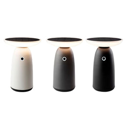 Zonnelamp Lumineo 897850 22 cm Touch bediening