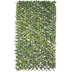 Rooster Natural Hedera vlechtwerk Bamboe 2 x 200 x 100 cm