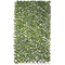 Rooster Natural Hedera vlechtwerk Bamboe 2 x 200 x 100 cm