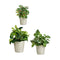 Pottenset Grijs Klei (6 Stuks)