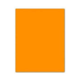 Fiches Iris Oranje 50 x 65 cm