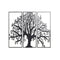 Wanddecoratie DKD Home Decor 3 Onderdelen Zwart Boomstructuur Metaal (105 x 1,3 x 91 cm)