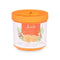 Luchtverfrisser Oranje Gember 190 g (24 Stuks)