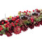 Kerstkaarshouder Rood Multicolour Plastic Foam 36 x 14 x 8 cm