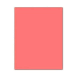 Fiches Iris Roze Licht Roze 50 x 65 cm