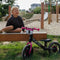 Kinderfiets New Bike Player Lichten Roze 10