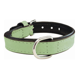 Hondenhalsband Gloria Gestoffeerd Groen (50 x 2,5 cm)