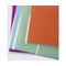 Boek Case Apli 29,5 x 53 cm 100 Stuks Transparant