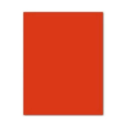 Fiches Iris Tomaat 50 x 65 cm