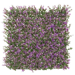 Hek Lavendel 50 x 50 x 2 cm