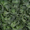 Decoratieve plant Groen PVC 19 x 19 cm