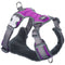 Hondentuigje Red Dingo Dingo 38-58 cm 46-63 cm Paars M