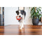 Hondenspeelgoed Red Dingo 10 cm Aap