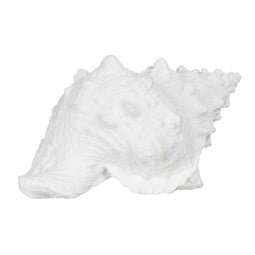 Decoratieve figuren Wit Schelp 21 x 14 x 12 cm