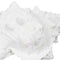 Decoratieve figuren Wit Schelp 21 x 14 x 12 cm