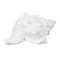 Decoratieve figuren Wit Schelp 21 x 14 x 12 cm