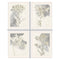 Schilderij DKD Home Decor 55 x 2,5 x 70 cm Blommor Romantiek (4 Onderdelen)