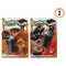 Pistool Cowboy Western Cowboy Set