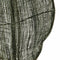 Tak 20 x 8 x 200 cm Grijs Groen Natuurlijke Vezel
