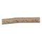 Wandkapstok Sparrenhout 50 x 8 x 7 cm
