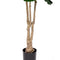 Decoratieve plant Polyurethaan Cement Vijgen 175 cm