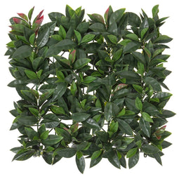 Hek Laurel 50 x 50 x 2 cm