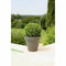 Bloempot Riviera Soleilla Cirkelvormig Grijs 60 x 54 cm