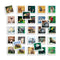 Educatief Spel Diset Memo Photo Animales 54 Onderdelen