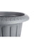 Grondlegger Fluitglas Antraciet Plastic 47,6 x 47 x 47,4 cm (5 Stuks)