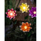 Zonlicht Lumineo Bloem Zon 11 x 6 x 49,5 cm Multicolour