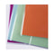 Boek Case Apli 29 x 53 cm 100 Stuks Transparant