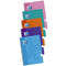 Schrift Oxford Multicolour Din A4 80 Lakens 21,5 x 31,5 cm 5 Onderdelen
