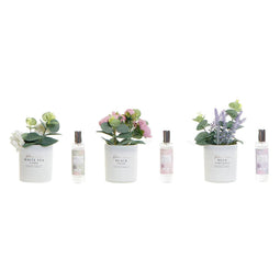 Luchtverfrisser DKD Home Decor Shabby Chic (3 Stuks) (2 Stuks)