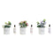 Luchtverfrisser DKD Home Decor Shabby Chic (3 Stuks) (2 Stuks)