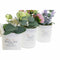 Luchtverfrisser DKD Home Decor Shabby Chic (3 Stuks) (2 Stuks)