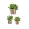 Pottenset Ø 14 cm Ø 22 cm Ø 17 cm Cilinder 3 Onderdelen Taupe