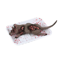 Rat Decoratief Grijs Multicolour