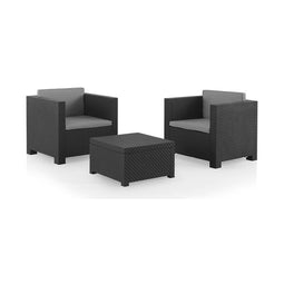 Tafelset met 2 fauteuils SP Berner Diva tete grafit