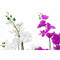 Decoratieve Bloemen DKD Home Decor 44 x 27 x 77 cm Lila Wit Groen Orchidee (2 Stuks)