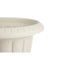 Grondlegger Fluitglas Beige Plastic 35 x 34,7 x 35 cm (10 Stuks)