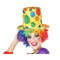 Clownhoed Multicolour Circus