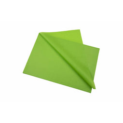 Zijdepapier Sadipal Groen 50 x 75 cm 520 Onderdelen