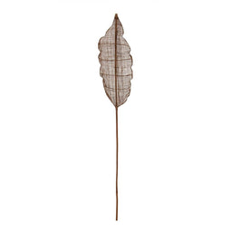 Tak 20 x 8 x 200 cm Bruin Natuurlijke Vezel
