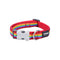 Hondenhalsband Red Dingo STYLE RAINBOW 31-47 cm