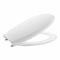 Toiletbril Roca Victoria 36 x 44,6 x 4,8 cm Wit
