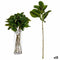 Tak Lakens 80 cm Groen Plastic (12 Stuks)
